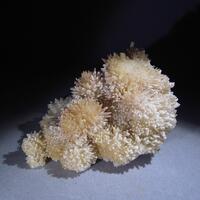 Calcite & Aragonite