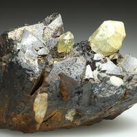 Apatite & Magnetite