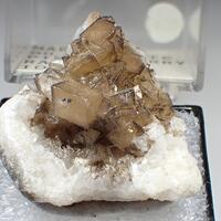 Fluorite Marcasite & Calcite