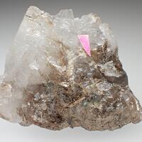 Arctite