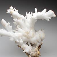 Aragonite