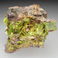 Autunite