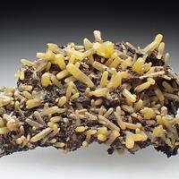 Pyromorphite