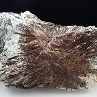 Astrophyllite