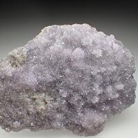 Creedite