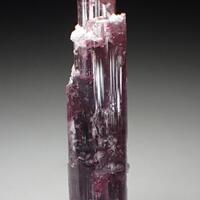 Rubellite