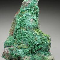 Zincolivenite & Conichalcite