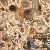 Magnesio-fluoro-hastingsite