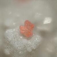 Shijiangshanite & Andradite