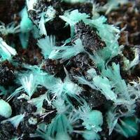 Aurichalcite Rosasite & Murdochite