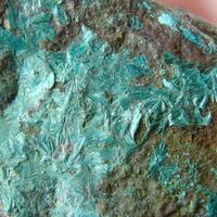 Tyrolite Clinoclase & Pseudomalachite