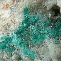 Rosasite With Bustamite
