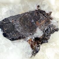 Tantalowodginite