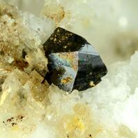 Cleusonite & Rutile