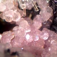 Fluorite Willemite Hetaerolite & Rhodochrosite