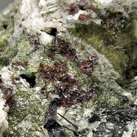 Rhodochrosite Leifite Ancylite-(Ce) Fluorite & Aegirine