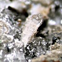 Unnamed (Sazhinite-related mineral I) Sazhinite & Ferroceladonite