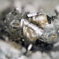 Unnamed (Sazhinite-related mineral I) & Pectolite