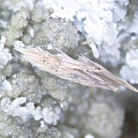 Rémondite-(Ce)