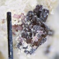Petarasite Manganoneptunite & Epididymite