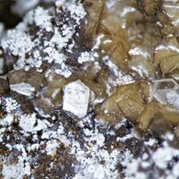 Sabinaite
