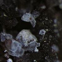 Peatite-(Y) Ramikite-(Y) & Sabinaite