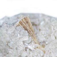 Bussyite-(Ce)