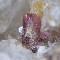 Petarasite