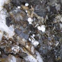 Franconite & Aegirine