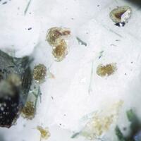 Alicewilsonite-(YCe)