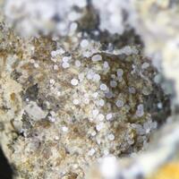 Symmetry Minerals: 24 Apr - 01 May 2025