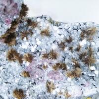 Tuperssuatsiaite Villiaumite & Ellingsenite