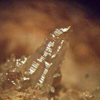 Newberyite