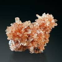 Creedite