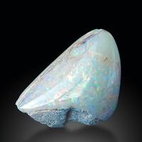 Opal Shell