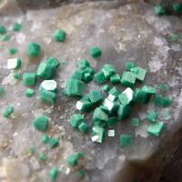 Torbernite