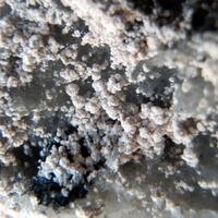Koninckite