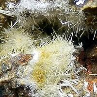 Mimetite