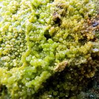 Pyromorphite