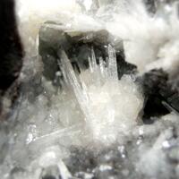 Celestine