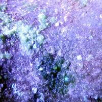 Adamite