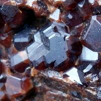 Garnet