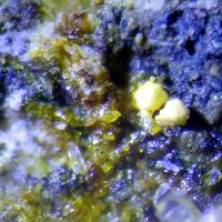 Joliotite