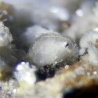 Dickite