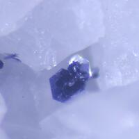 The Minerals: 21 May - 28 May 2025