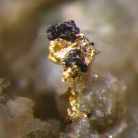 Gold & Tetradymite