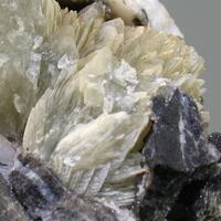 Collinsite