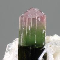 Elbaite