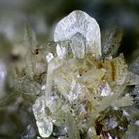 Paradamite