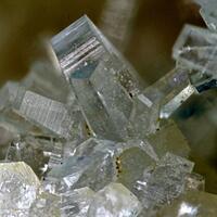 Pachnolite Thomsenolite & Ralstonite